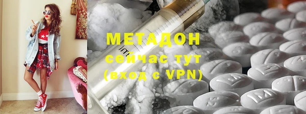 молекула духа Богданович