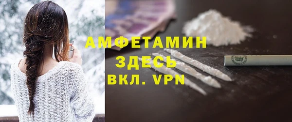 молекула духа Богданович