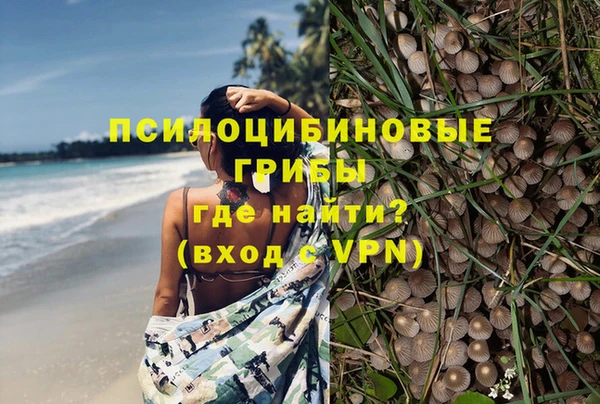твердый Богородск