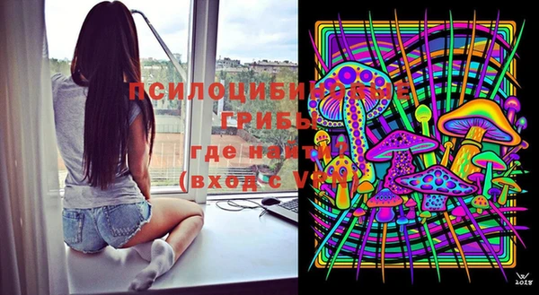прущий лед Богородицк