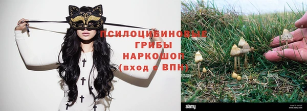 твердый Богородск
