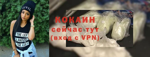 твердый Богородск