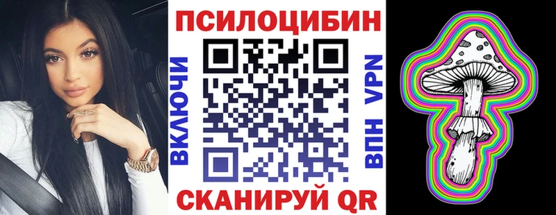 Псилоцибиновые грибы Cubensis Мышкин